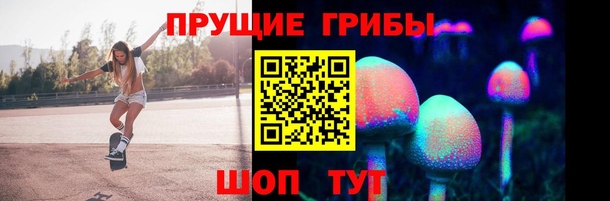 Вязьма  Галлюциногенные грибы Magic Shrooms  Вход с VPN  магазин  наркотиков  Галлюциногенные грибы GOLDEN TEACHER 